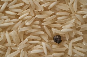 Best Blender for Grinding Rice in 2022