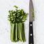 Best Chef Knife for Vegetables in 2023